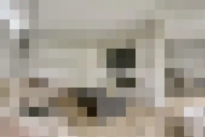 Binnendijk 18 Huissen thumbnail 7