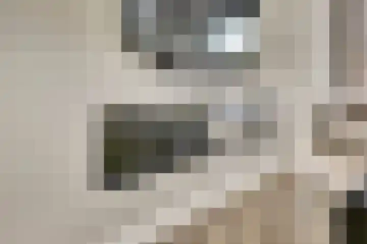 Binnendijk 18 Huissen thumbnail 8