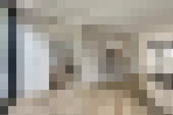 Binnendijk 18 Huissen thumbnail 9