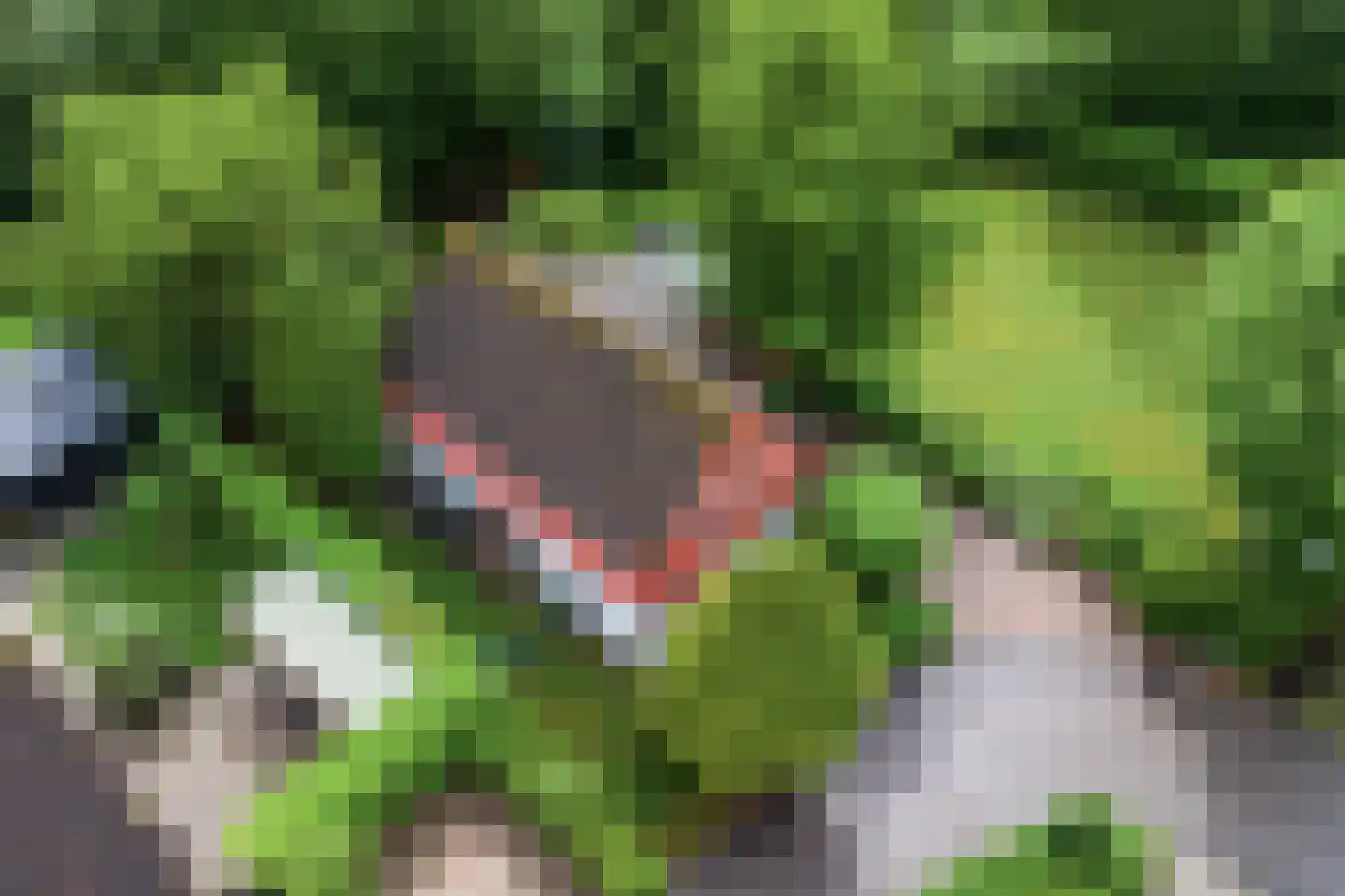 Binnendijk 2 037 Wemeldinge thumbnail 30