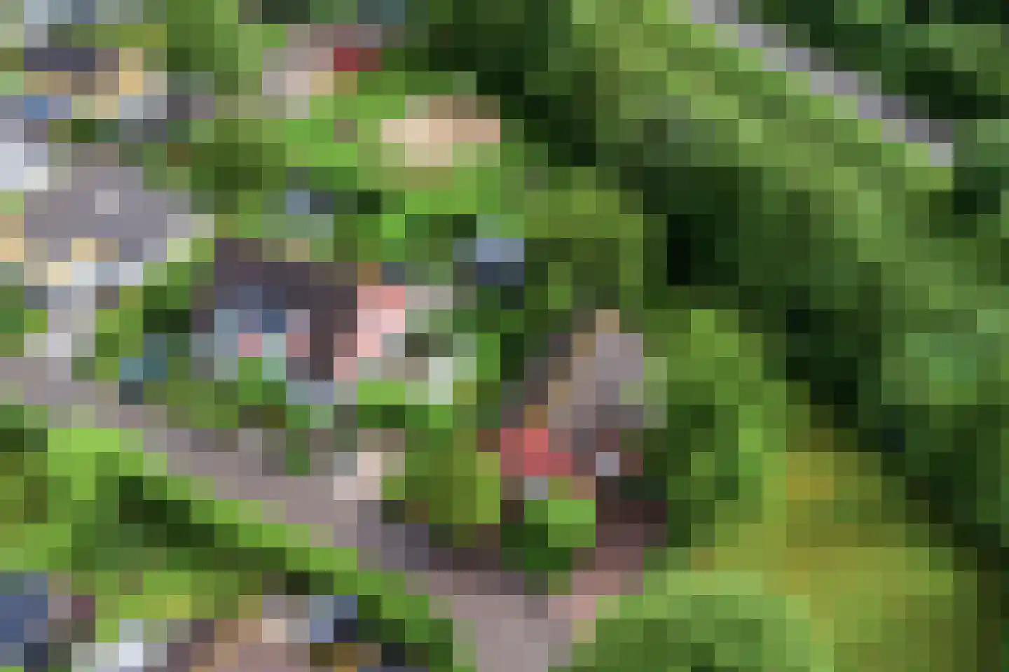 Binnendijk 2 037 Wemeldinge thumbnail 31