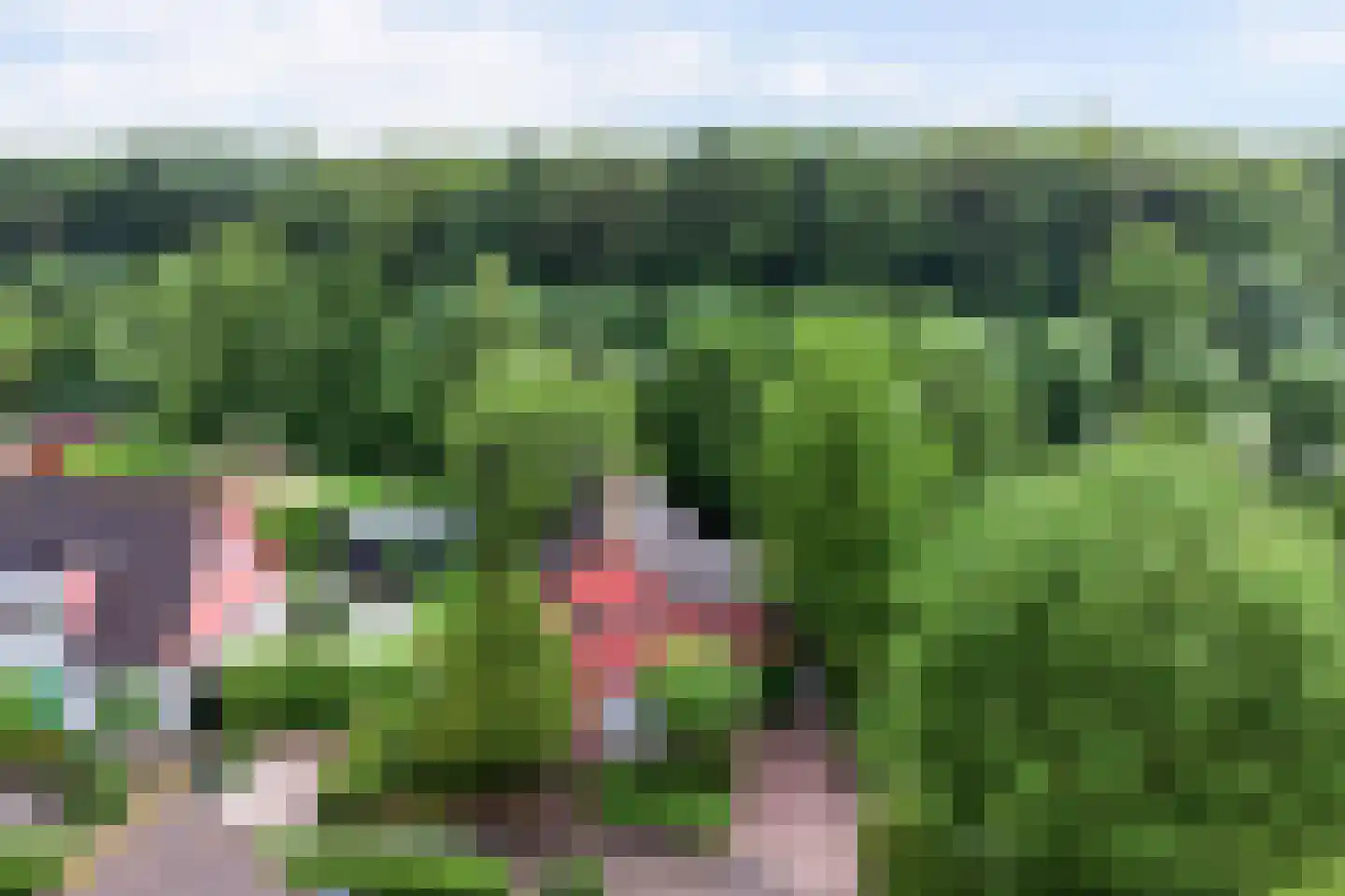 Binnendijk 2 037 Wemeldinge thumbnail 32