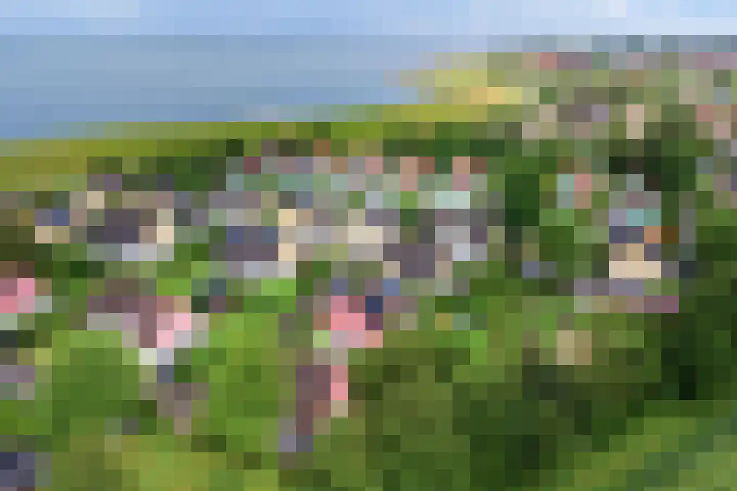 Binnendijk 2 037 Wemeldinge thumbnail 33