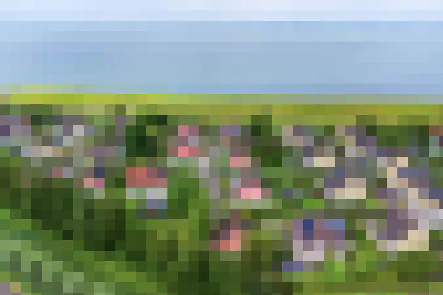 Binnendijk 2 037 Wemeldinge thumbnail 34