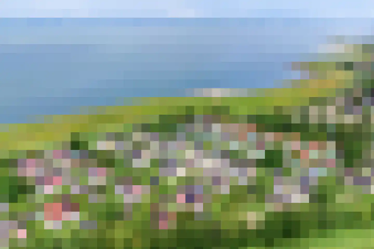Binnendijk 2 037 Wemeldinge thumbnail 35