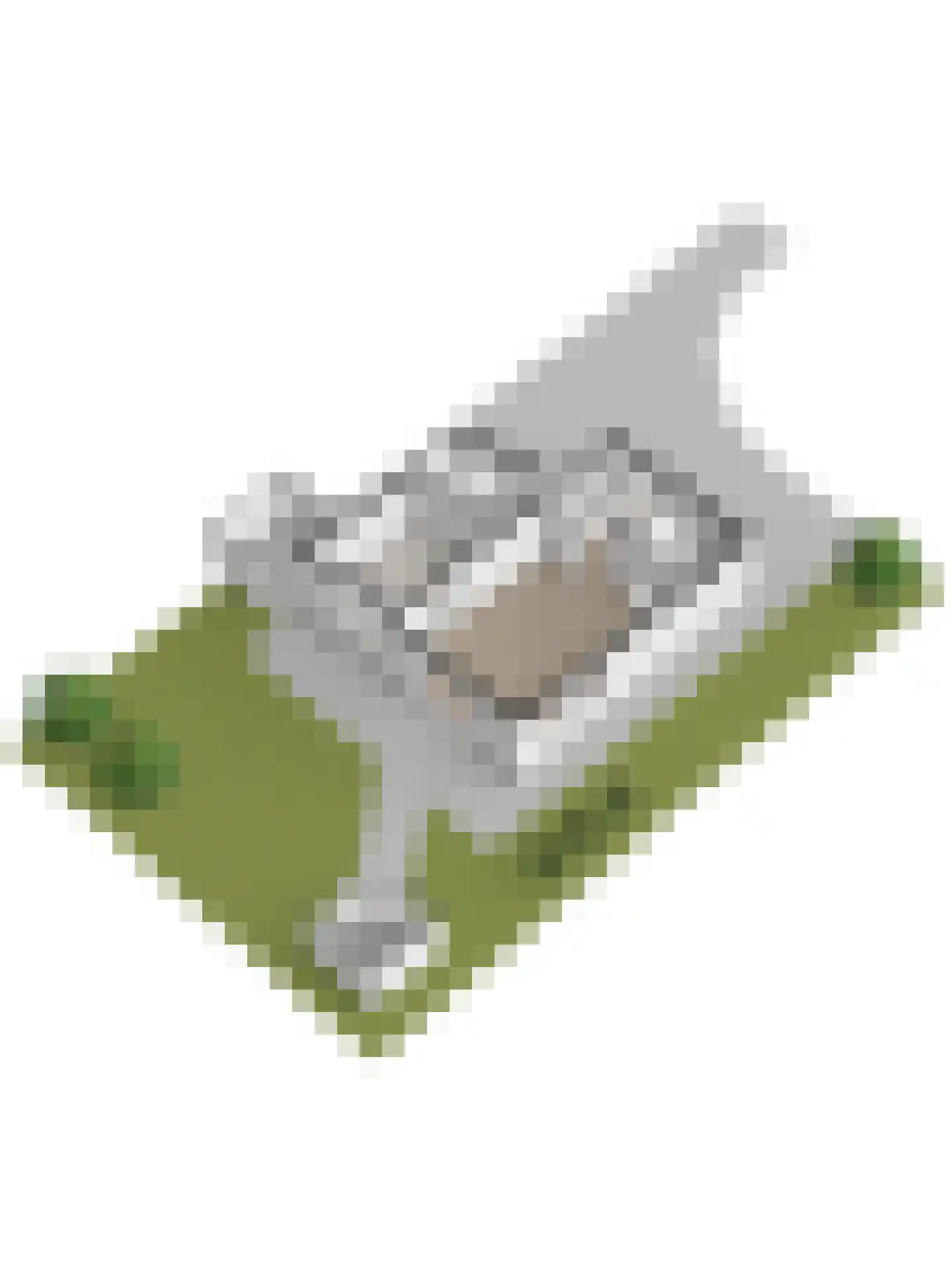 Binnendijk 2 037 Wemeldinge thumbnail 46
