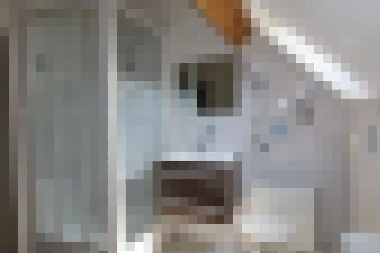 Binnendijk 2 042 Wemeldinge thumbnail 12