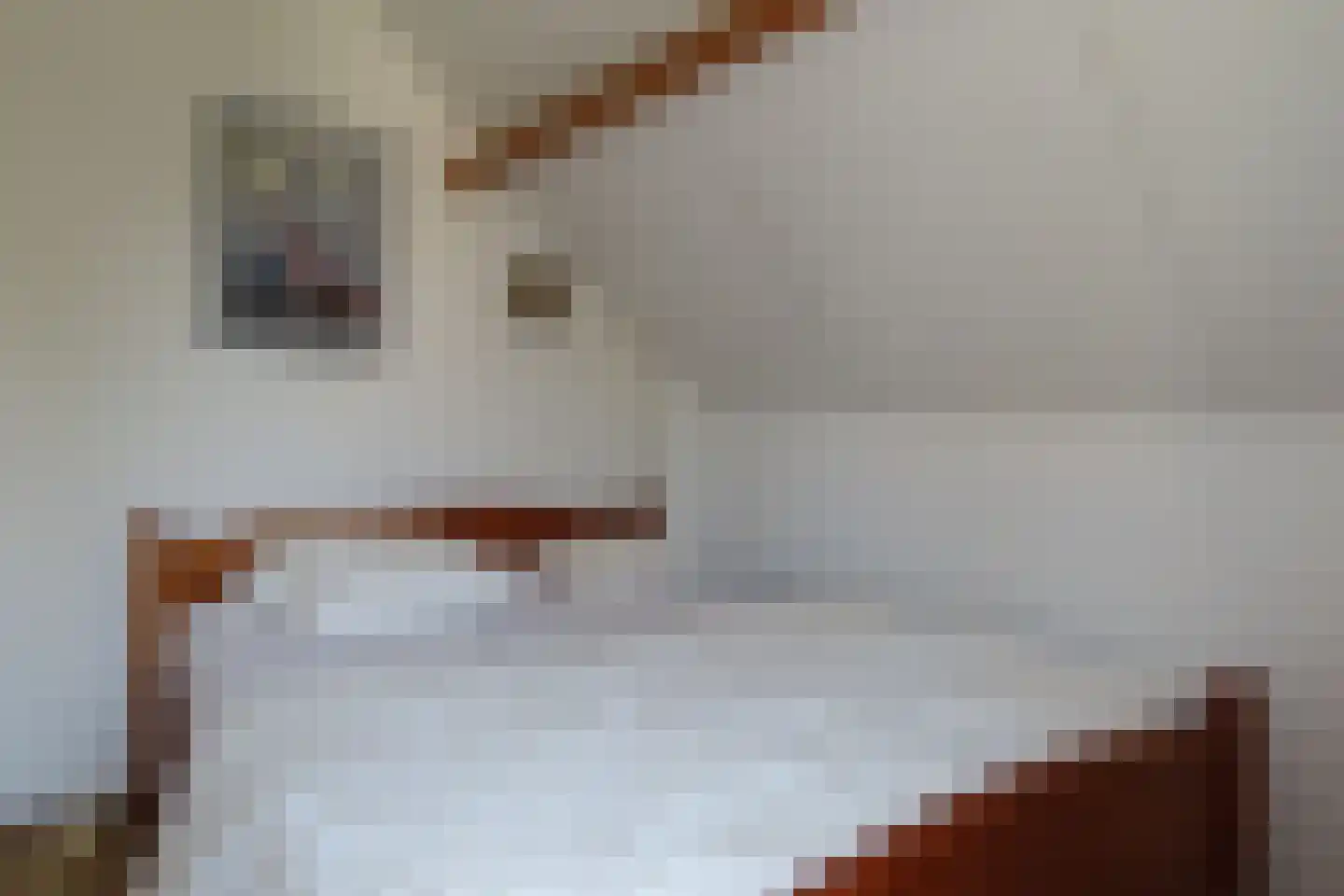 Binnendijk 2 042 Wemeldinge thumbnail 9
