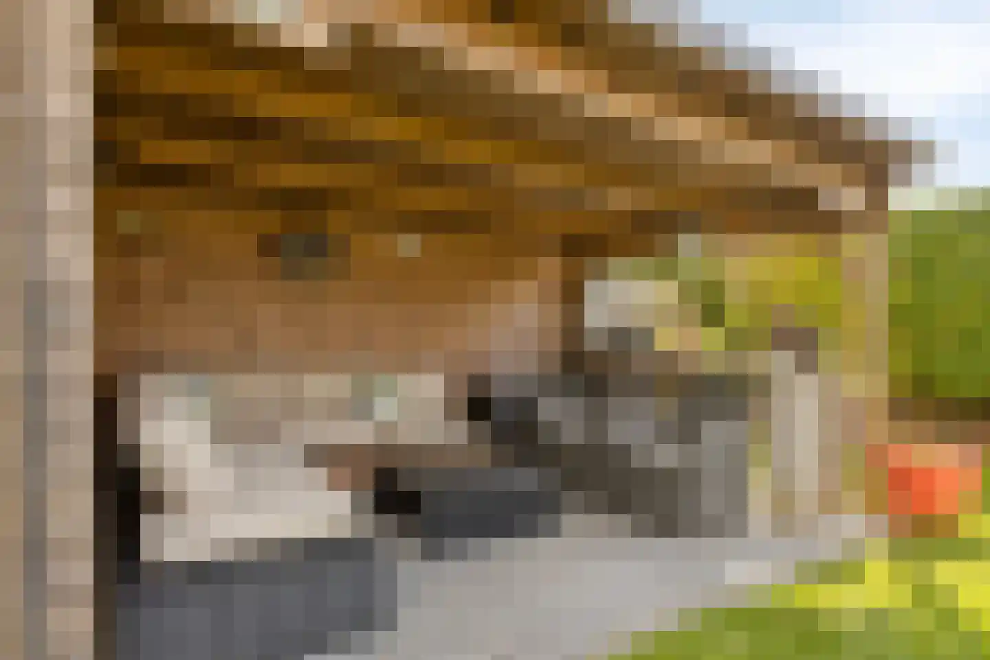 Binnendijk 2 044 Wemeldinge thumbnail 12
