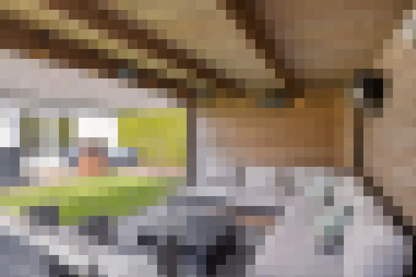 Binnendijk 2 044 Wemeldinge thumbnail 13