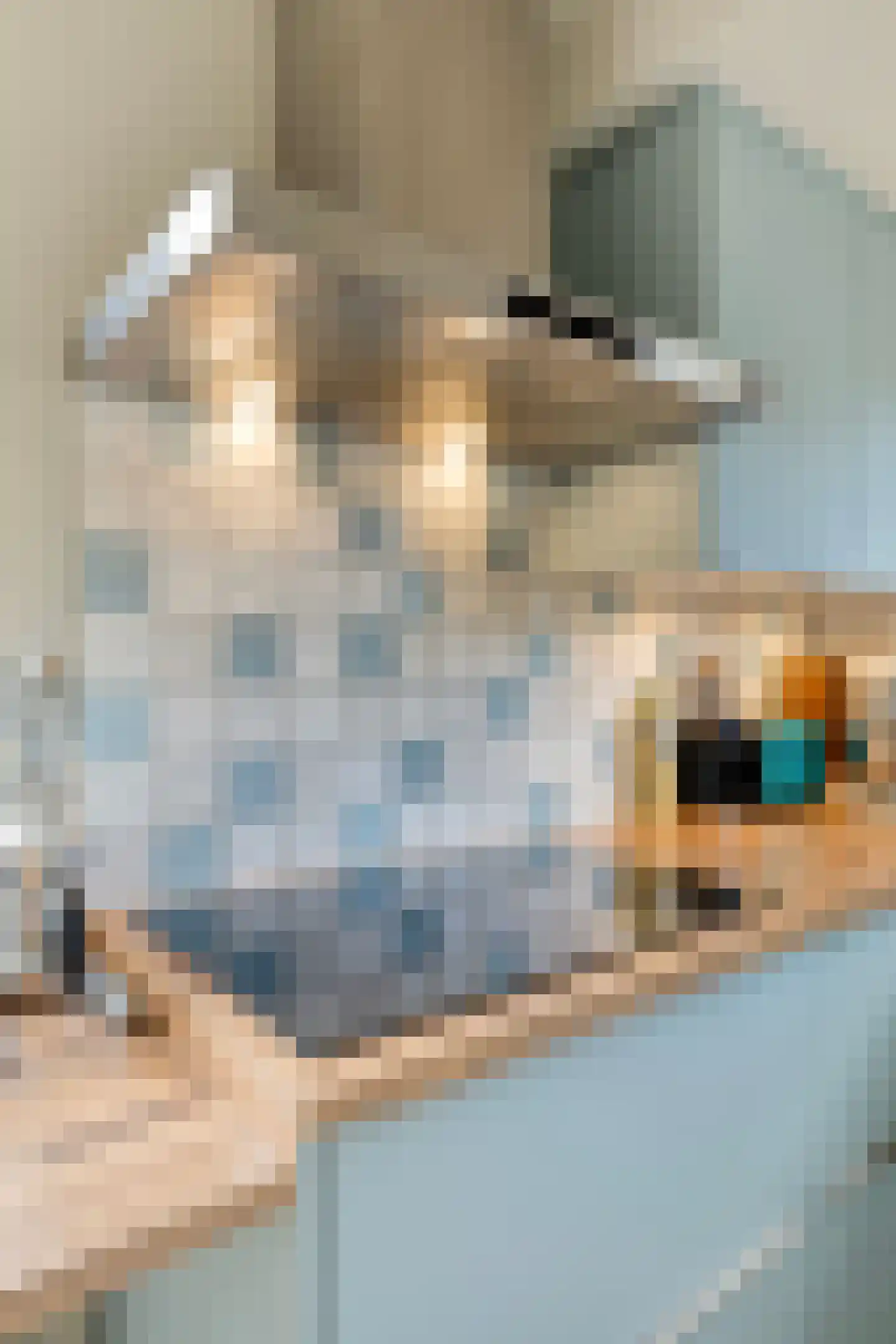 Binnendijk 2 044 Wemeldinge thumbnail 25