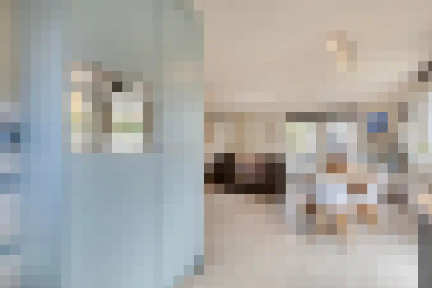 Binnendijk 2 044 Wemeldinge thumbnail 27