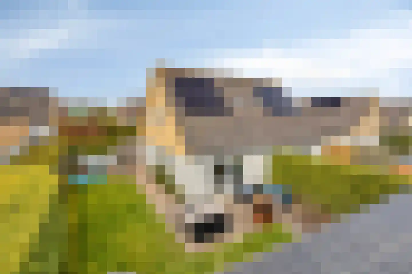 Binnendijk 2 044 Wemeldinge thumbnail 42