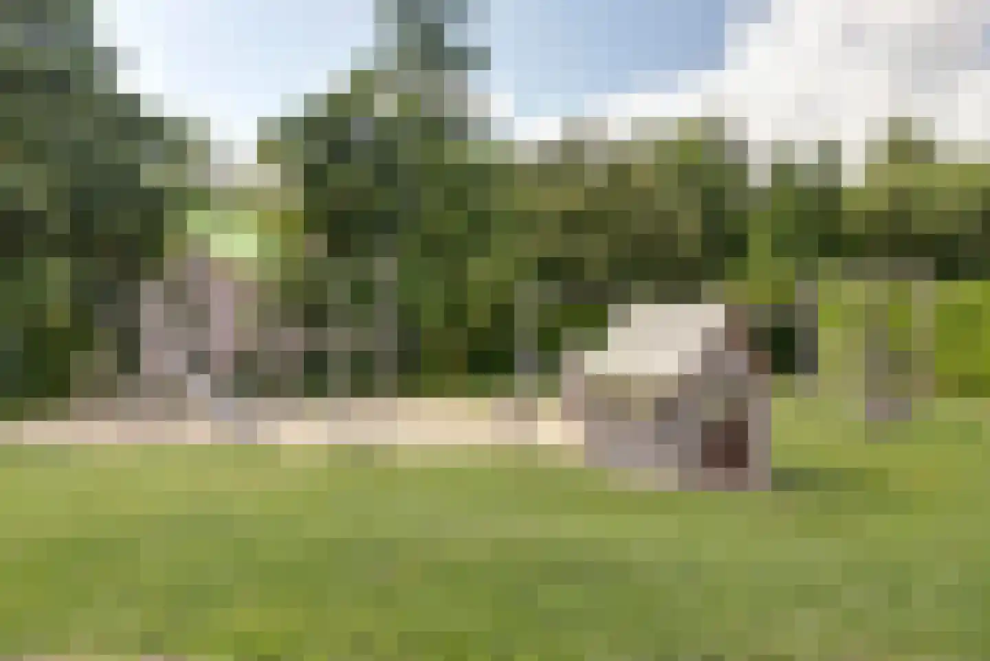 Binnendijk 2 049 Wemeldinge thumbnail 31