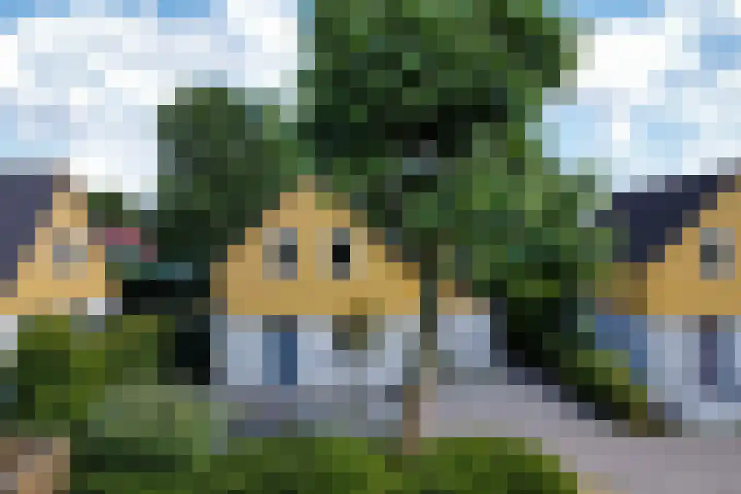Binnendijk 2 049 Wemeldinge thumbnail 32