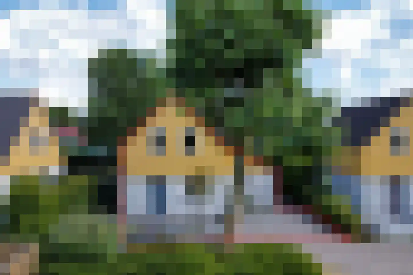 Binnendijk 2 049 Wemeldinge thumbnail 33
