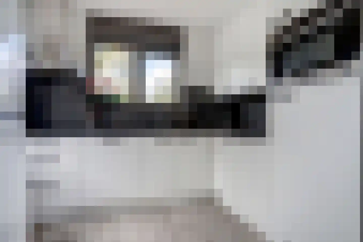 Binnendijk 2 049 Wemeldinge thumbnail 9