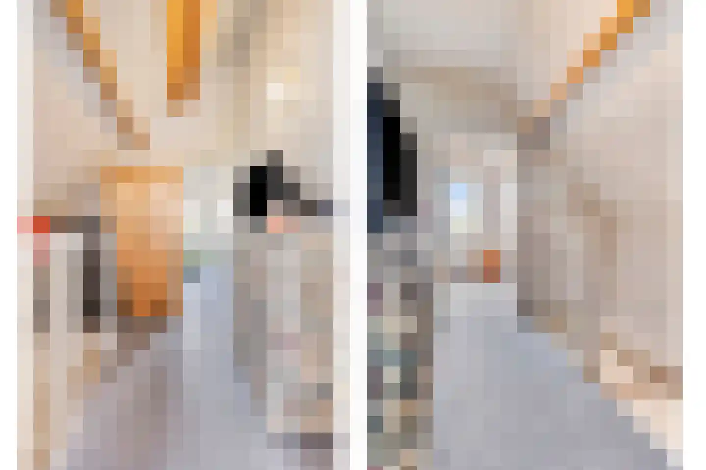Binnendijk 2 053 Wemeldinge thumbnail 16