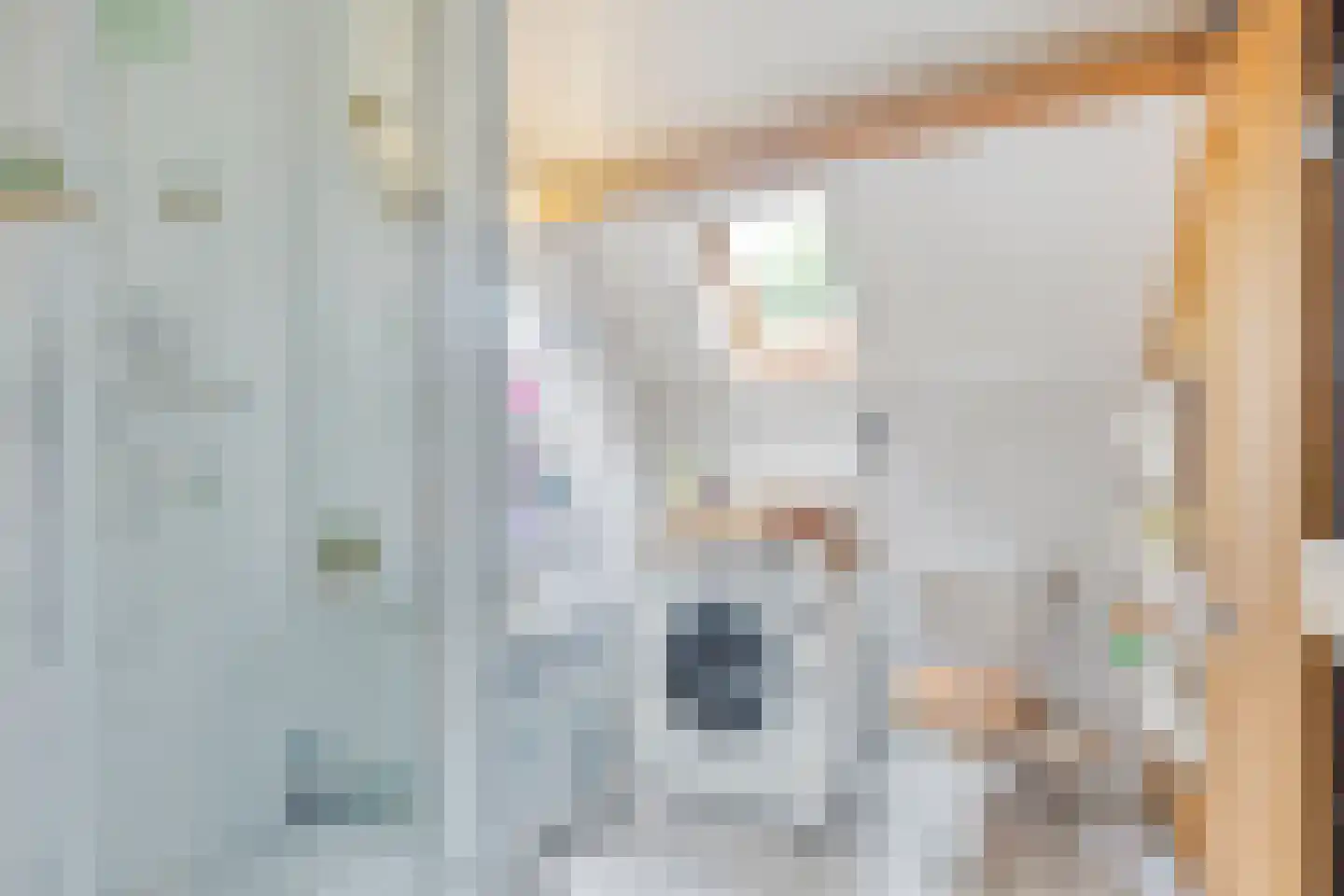 Binnendijk 2 053 Wemeldinge thumbnail 19