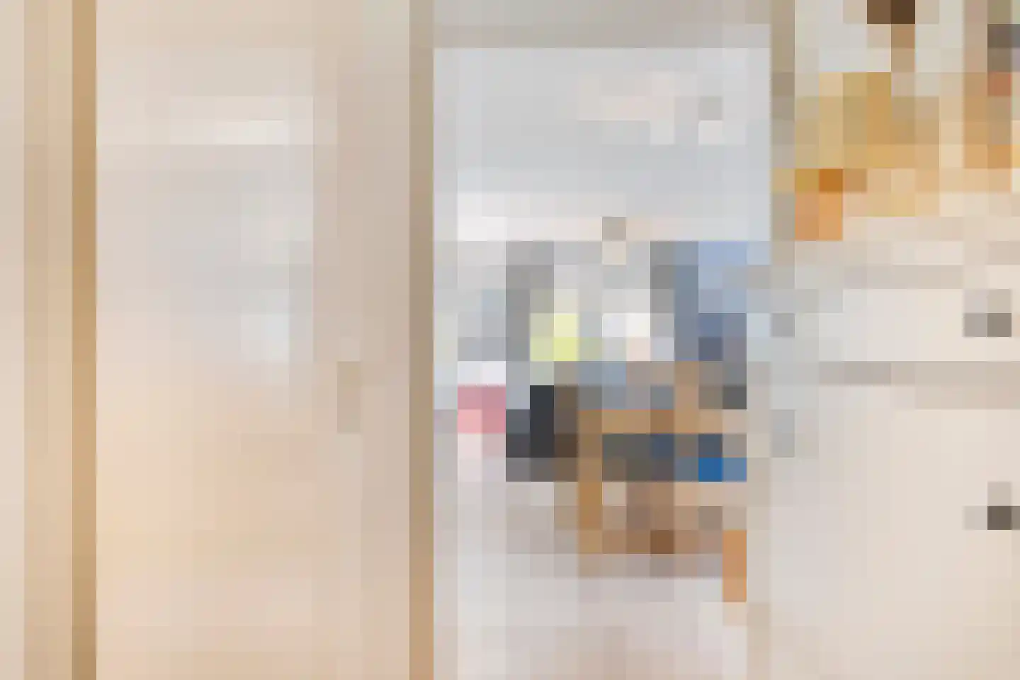 Binnendijk 2 053 Wemeldinge thumbnail 7