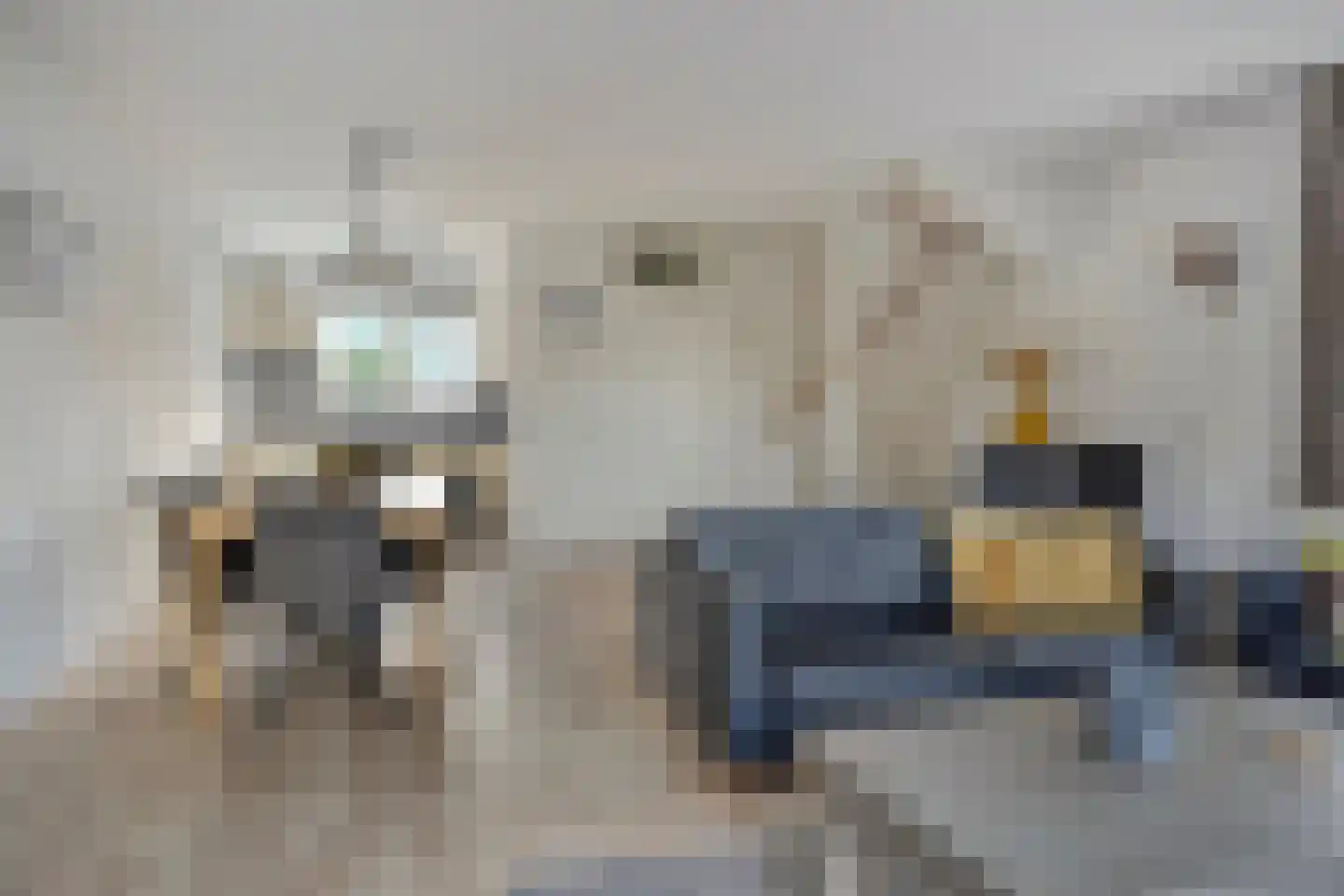 Binnendijk 2 054 Wemeldinge thumbnail 7