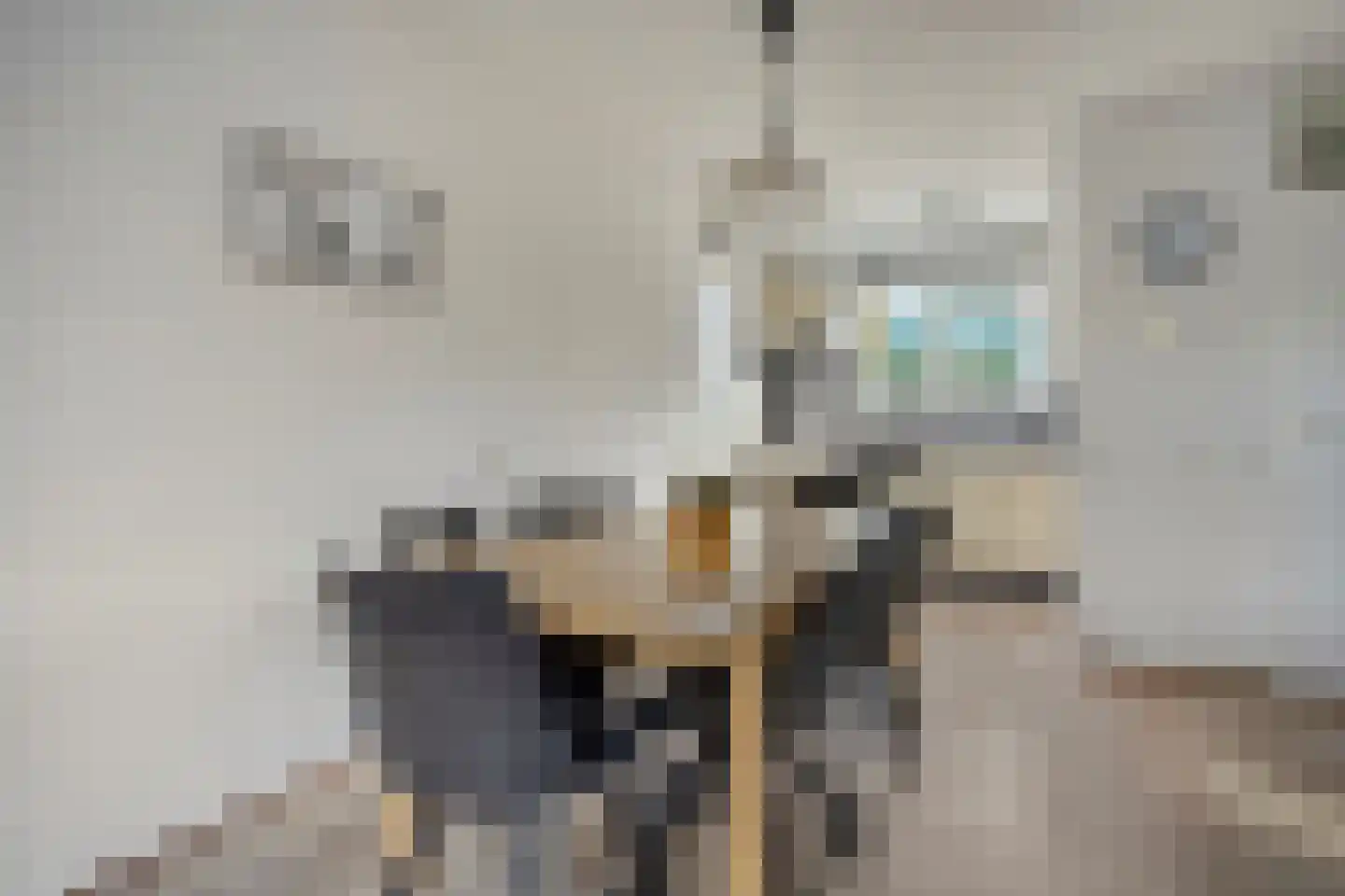 Binnendijk 2 054 Wemeldinge thumbnail 8