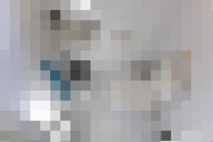Binnendijk 2 071 Wemeldinge thumbnail 11