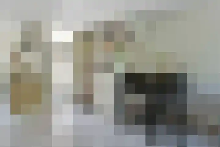 Binnendijk 2 071 Wemeldinge thumbnail 12