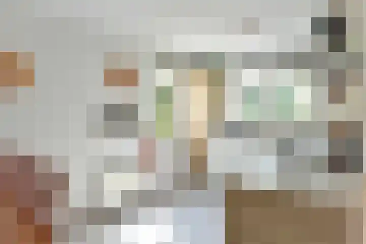 Binnendijk 2 071 Wemeldinge thumbnail 15