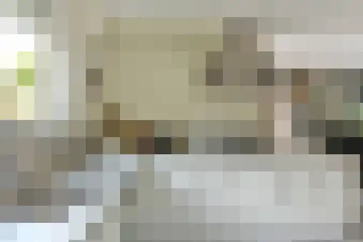 Binnendijk 2 071 Wemeldinge thumbnail 16