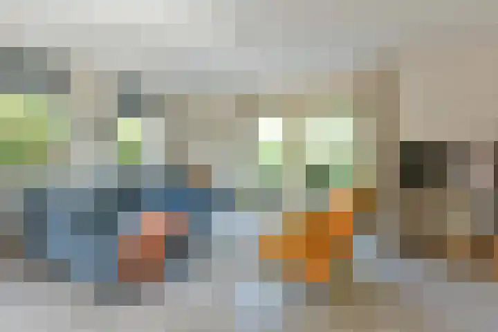Binnendijk 2 071 Wemeldinge thumbnail 17