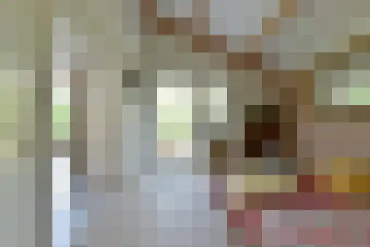 Binnendijk 2 071 Wemeldinge thumbnail 25
