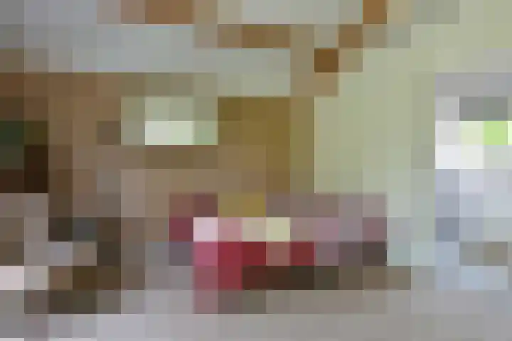 Binnendijk 2 071 Wemeldinge thumbnail 26