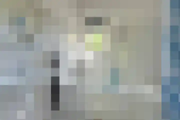 Binnendijk 2 071 Wemeldinge thumbnail 27