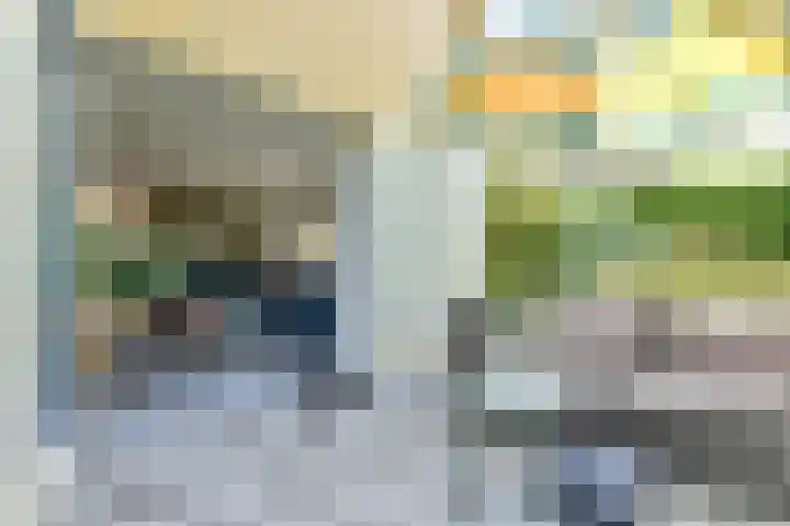 Binnendijk 2 071 Wemeldinge thumbnail 29