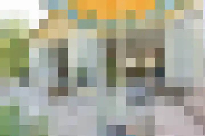 Binnendijk 2 071 Wemeldinge thumbnail 30