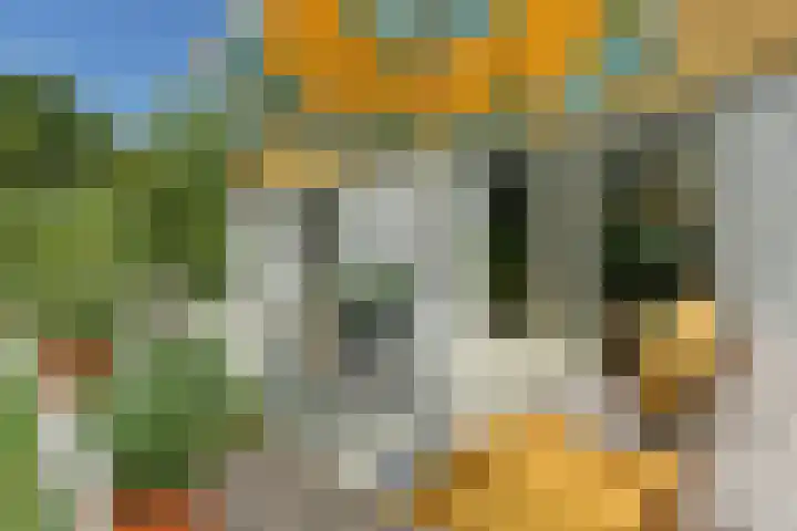 Binnendijk 2 071 Wemeldinge thumbnail 31