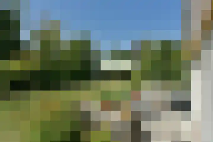 Binnendijk 2 071 Wemeldinge thumbnail 32