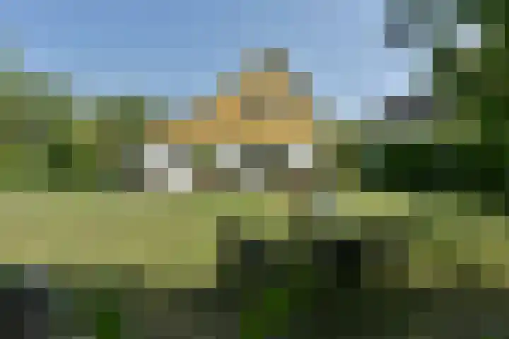 Binnendijk 2 071 Wemeldinge thumbnail 33