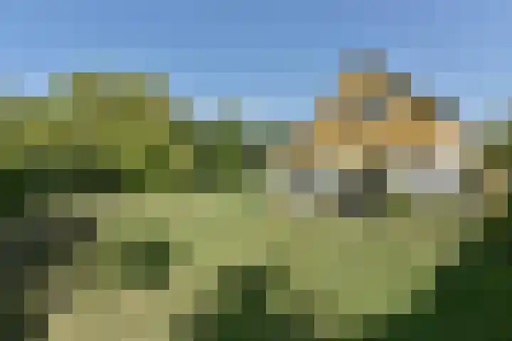 Binnendijk 2 071 Wemeldinge thumbnail 35