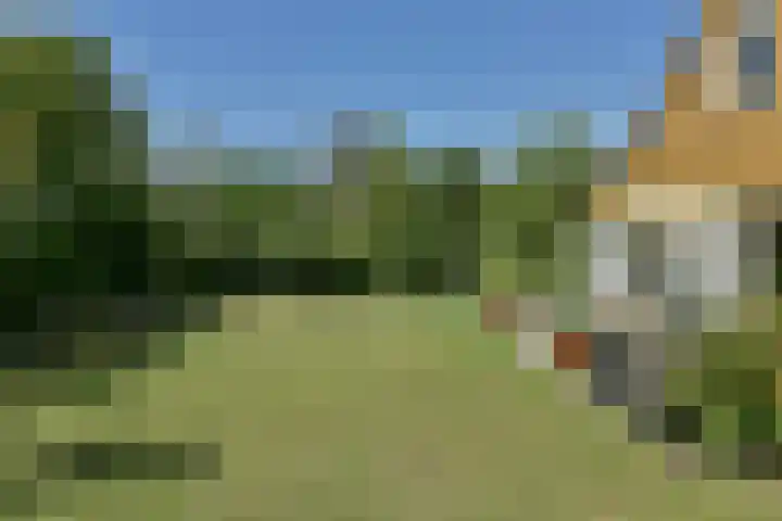 Binnendijk 2 071 Wemeldinge thumbnail 36