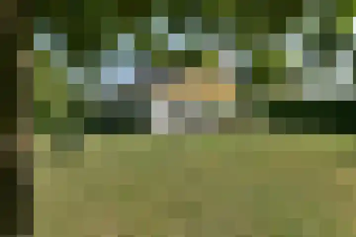 Binnendijk 2 071 Wemeldinge thumbnail 37