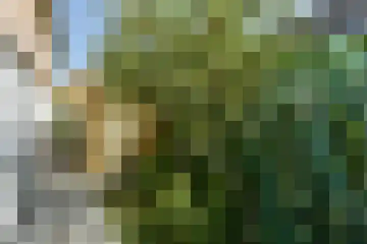Binnendijk 2 071 Wemeldinge thumbnail 38