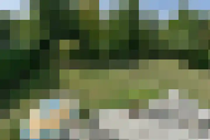 Binnendijk 2 071 Wemeldinge thumbnail 39