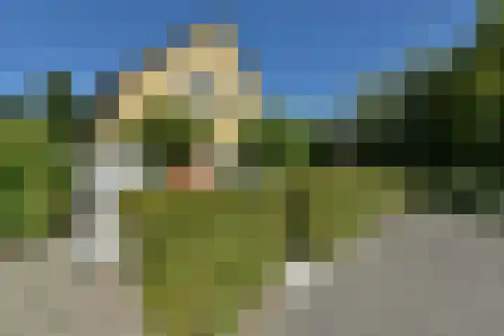 Binnendijk 2 071 Wemeldinge thumbnail 4