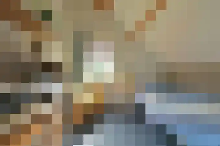 Binnendijk 2 071 Wemeldinge thumbnail 40