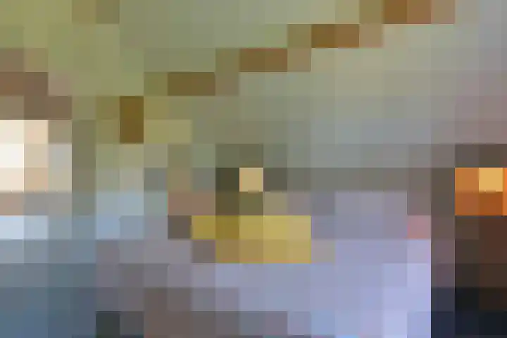 Binnendijk 2 071 Wemeldinge thumbnail 46