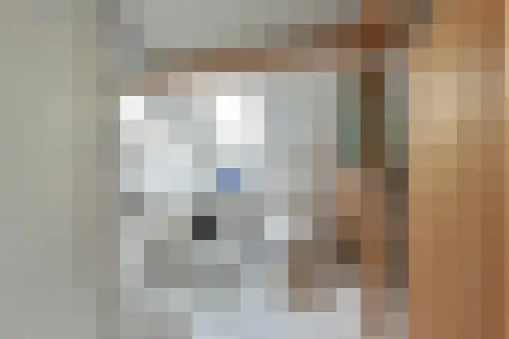 Binnendijk 2 071 Wemeldinge thumbnail 48