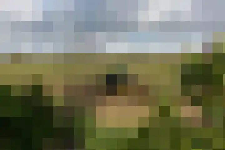 Binnendijk 2 071 Wemeldinge thumbnail 51