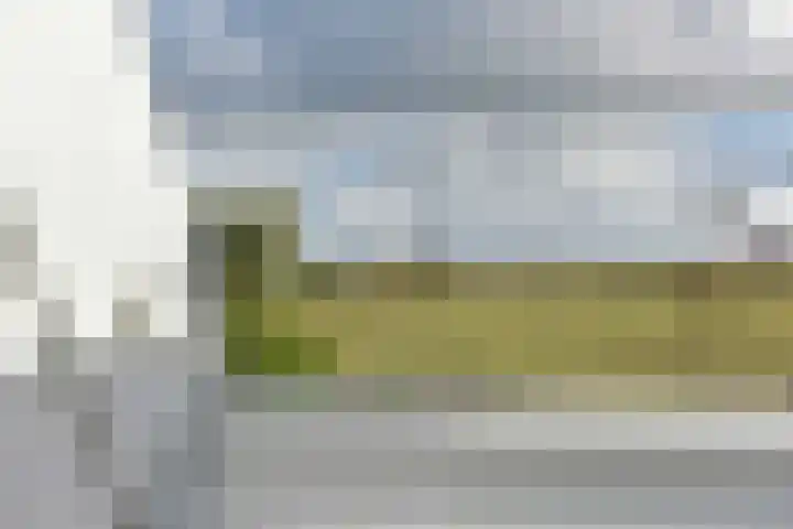 Binnendijk 2 071 Wemeldinge thumbnail 52